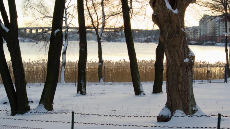 En kall februaridag vid Ulvsunda-sjön i Pampas-parken nedanför Huvudsta slott